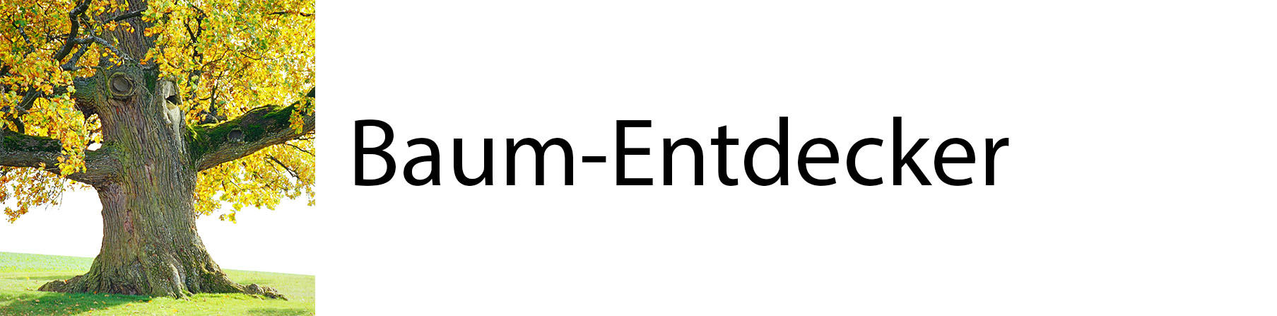 Baum-Entdecker